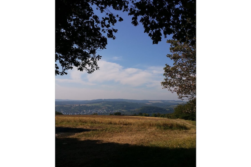 137202 - Nicht zugeordnet