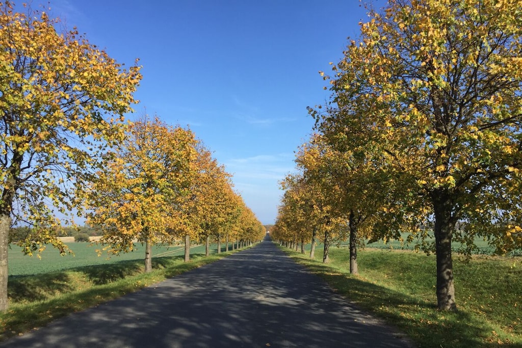 283625 - Niet-getagd