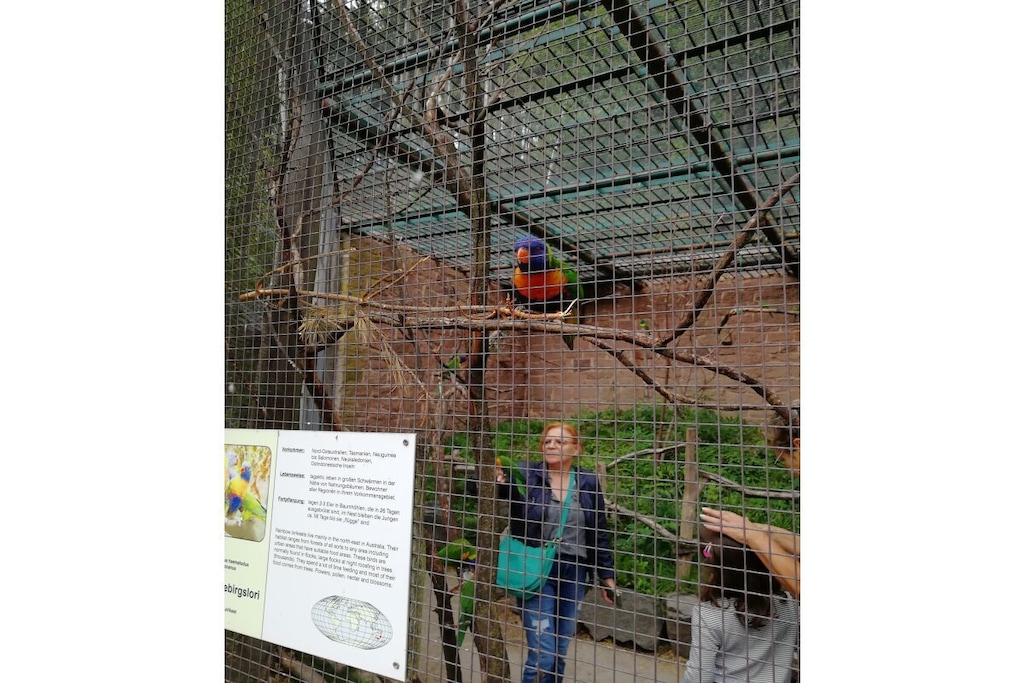 180380 - Niet-getagd