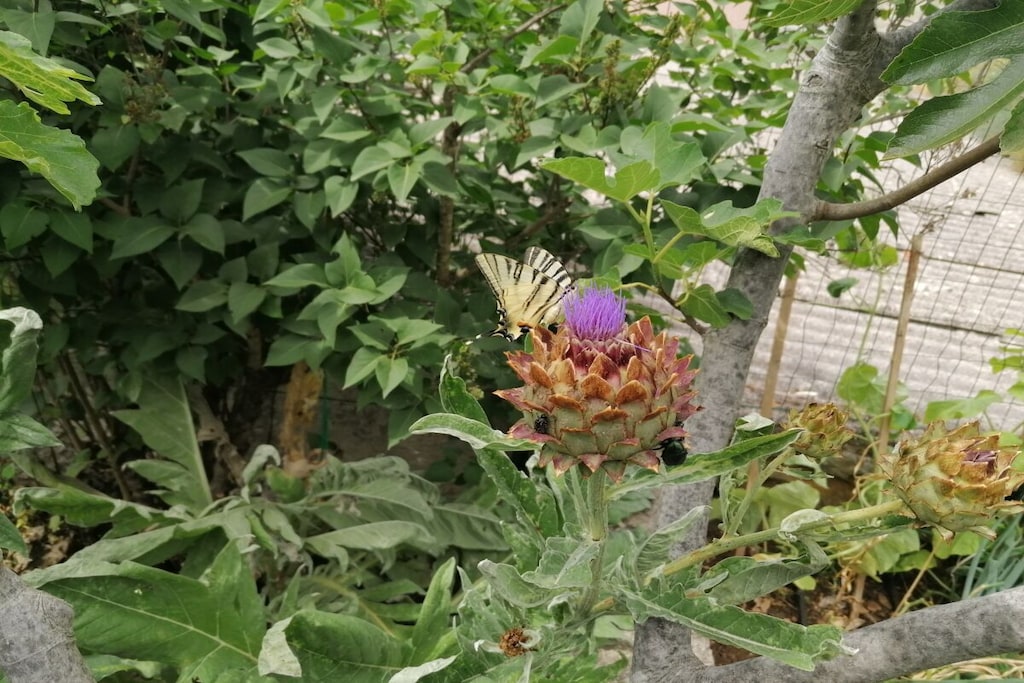 218302 - Non tagué