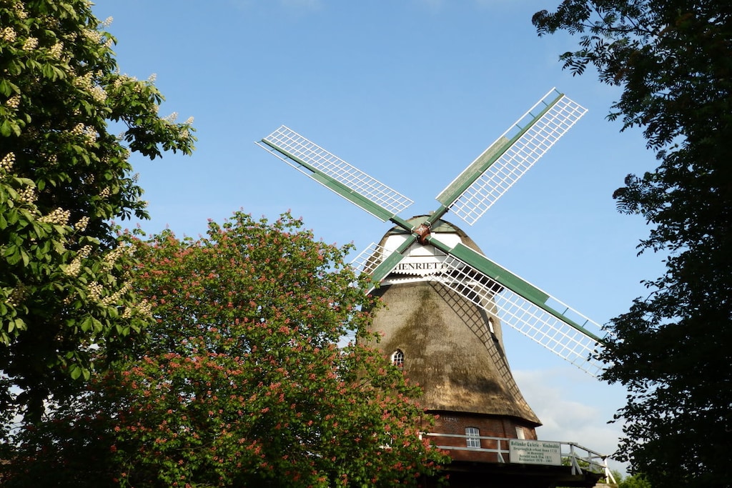 126276 - Niet-getagd