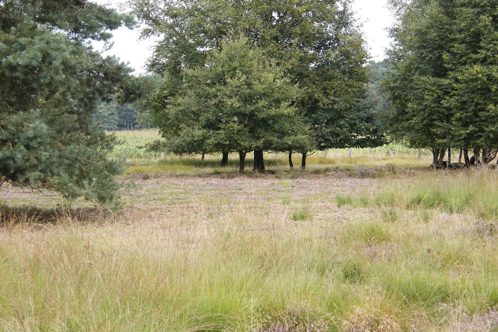 126276 - Niet-getagd
