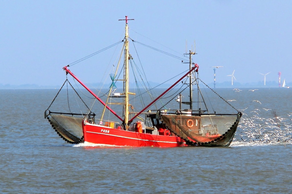 126276 - Niet-getagd