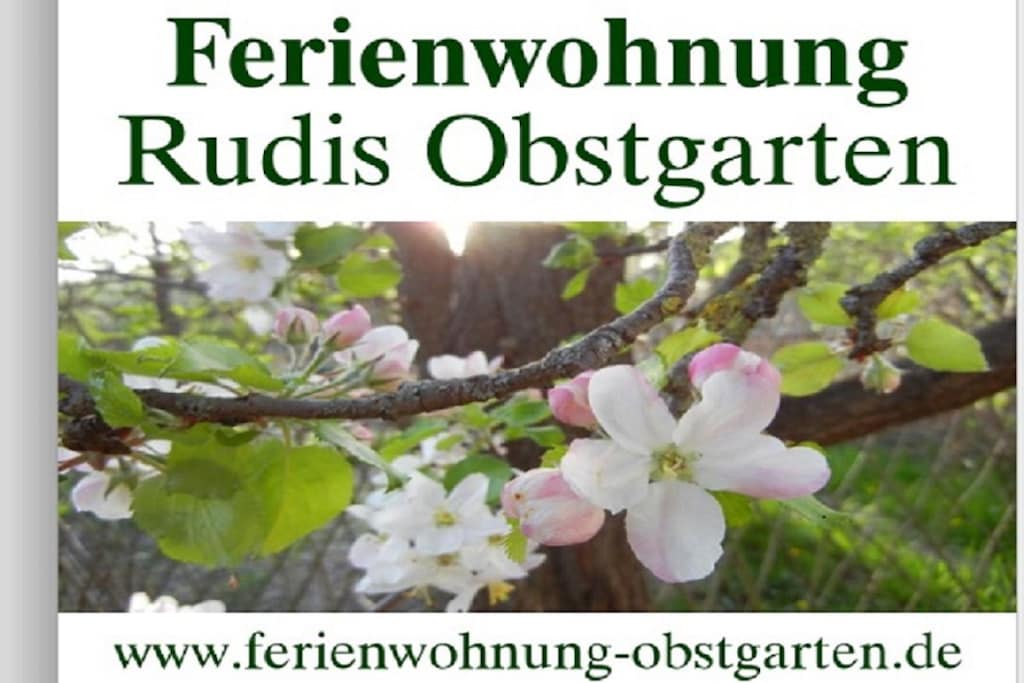 215323 - Niet-getagd