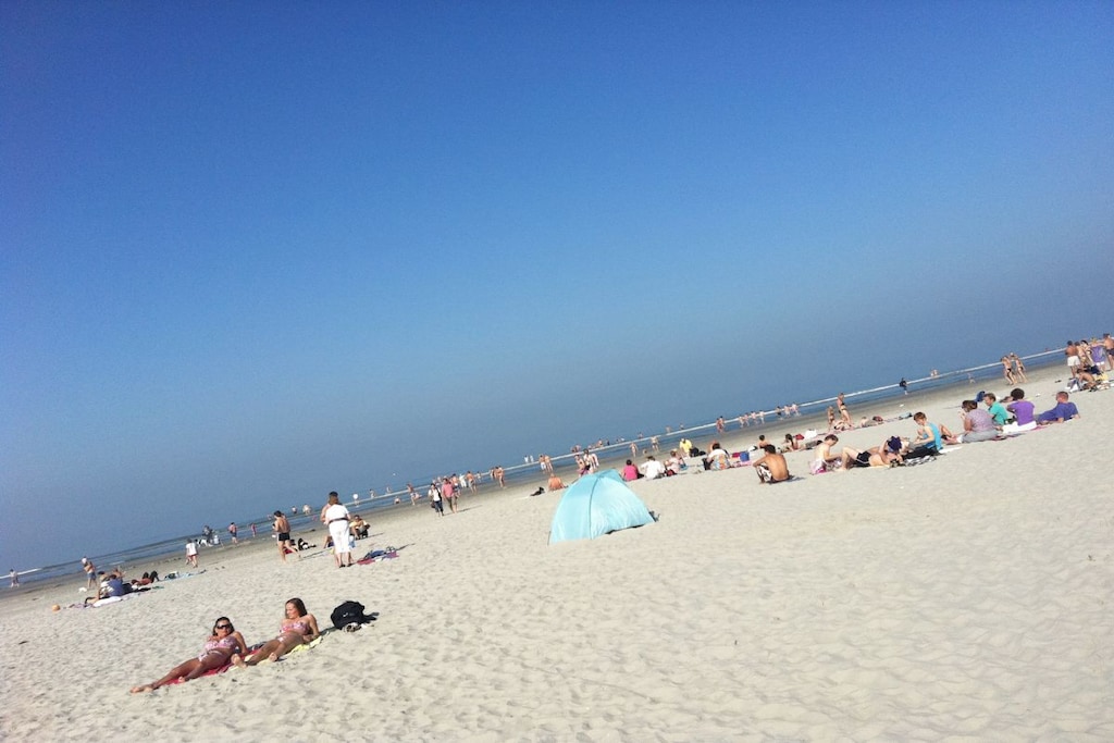 47345 - Niet-getagd