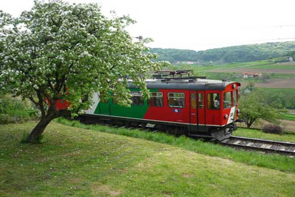 25816 - Non tagué