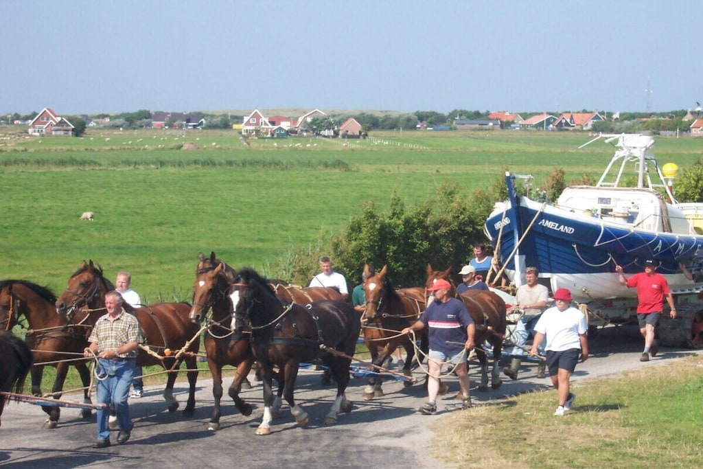 467300 - Niet-getagd