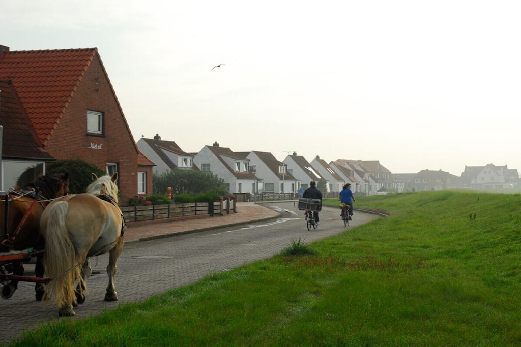 169033 - Niet-getagd