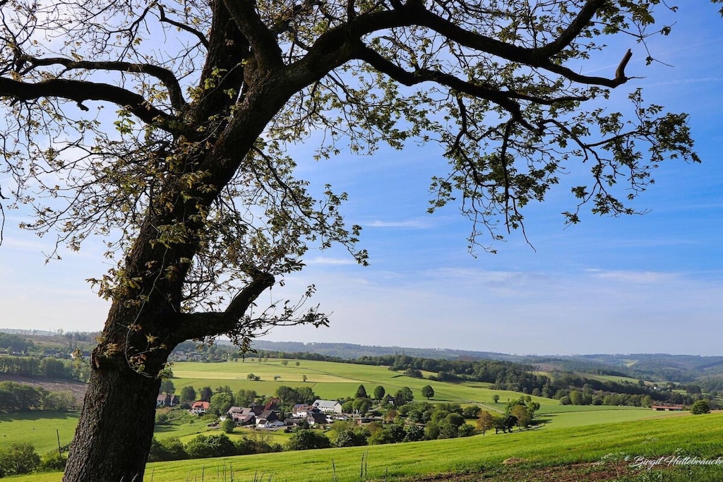 127247 - Nicht zugeordnet