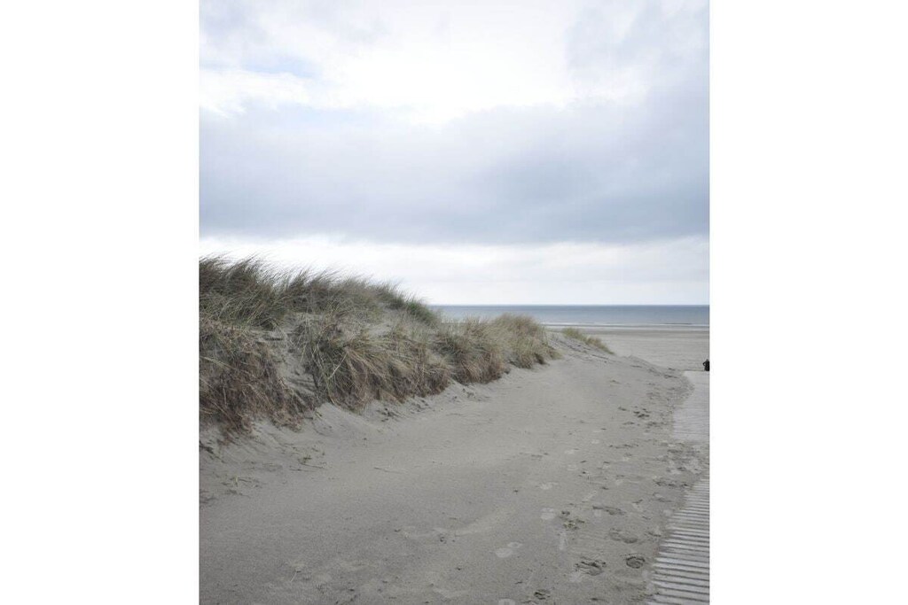 73499 - Niet-getagd