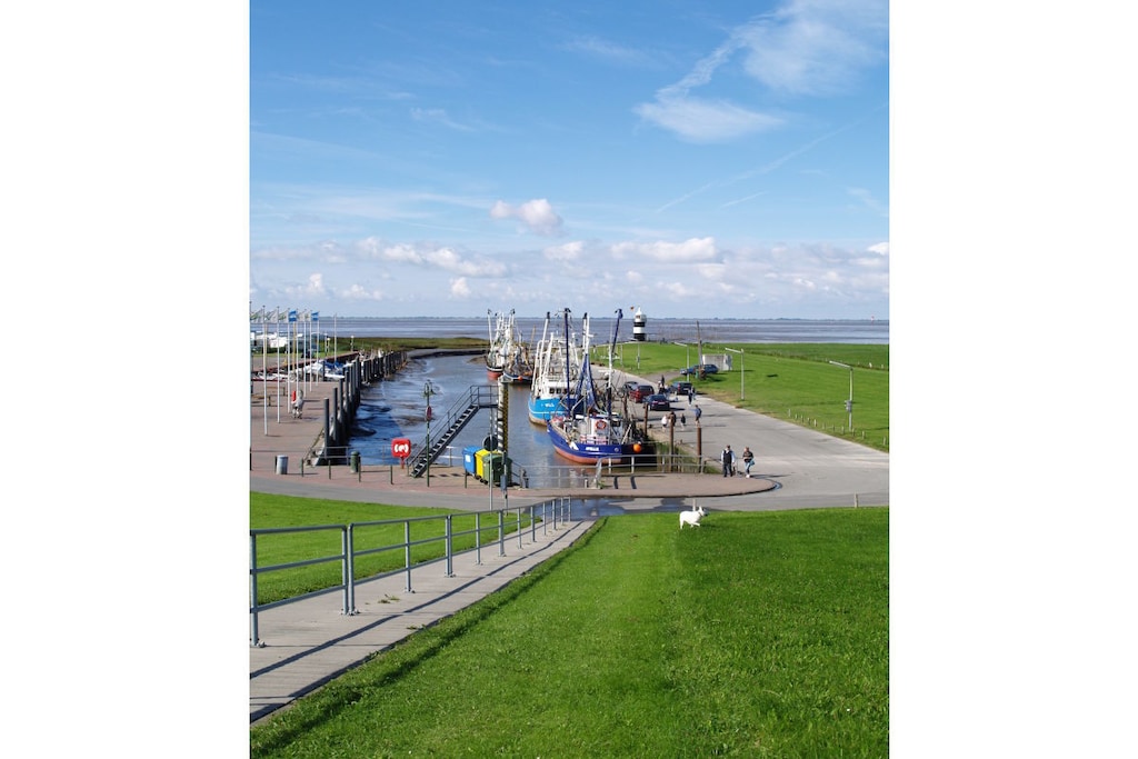 75365 - Untagged