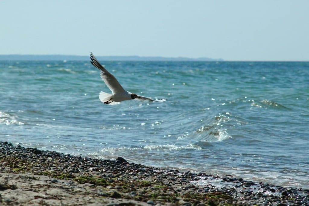 55061 - Untagged