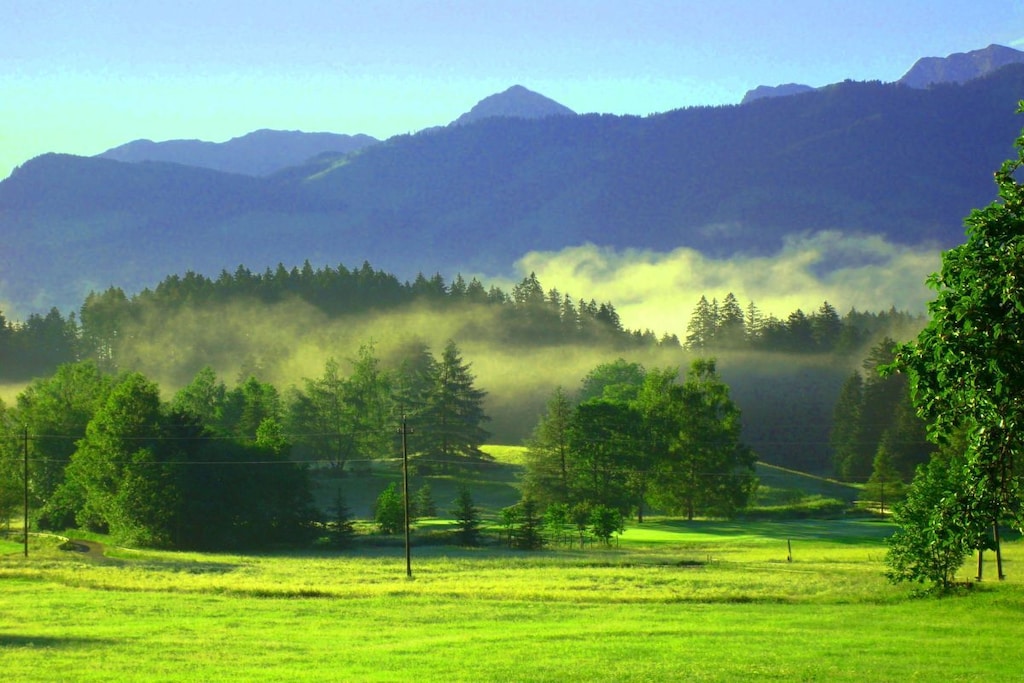 66013