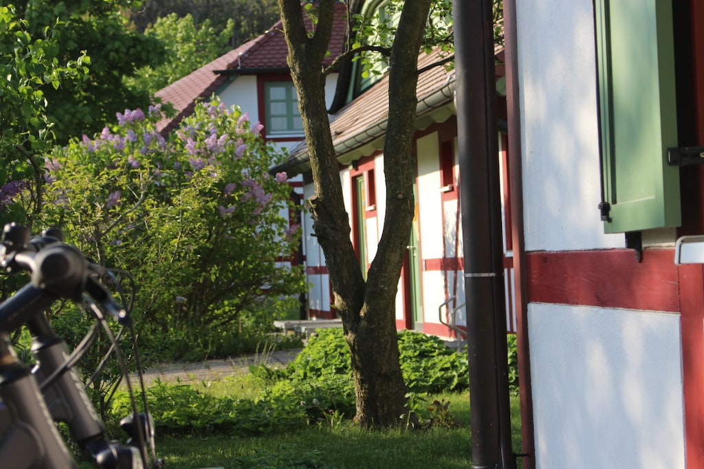 121235 - Untagged