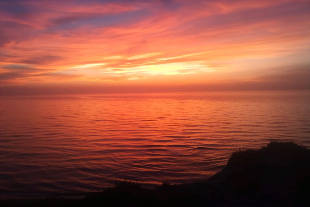 40650 - Untagged