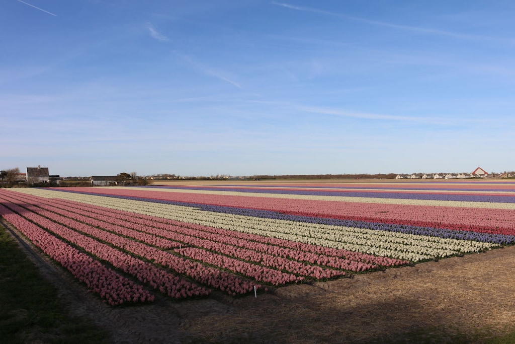 130550 - Niet-getagd