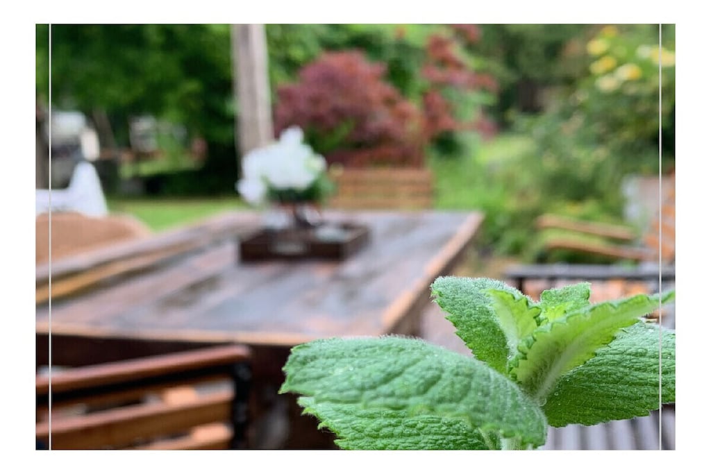 430807 - Nicht zugeordnet