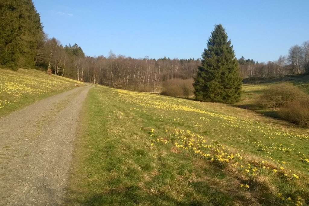 135629 - Nicht zugeordnet