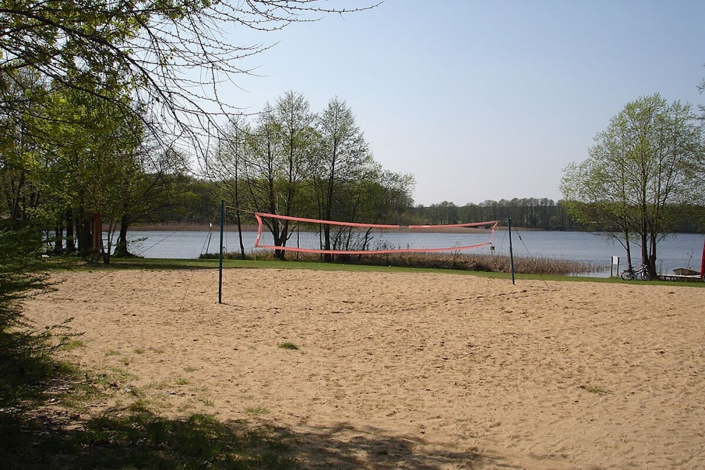 32036 - Non tagué