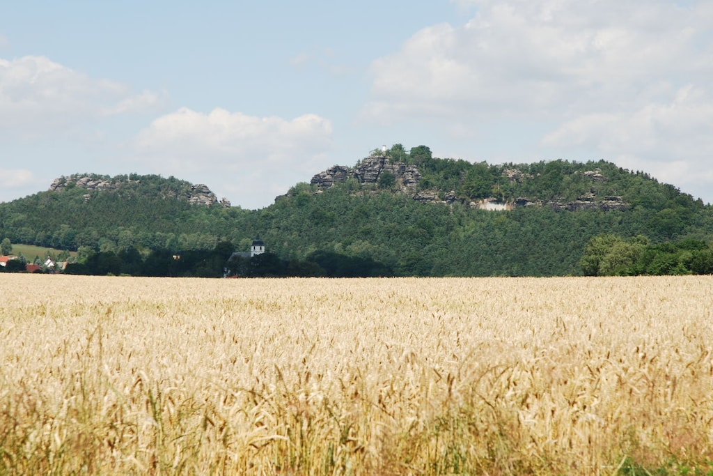 7561 - Non tagué