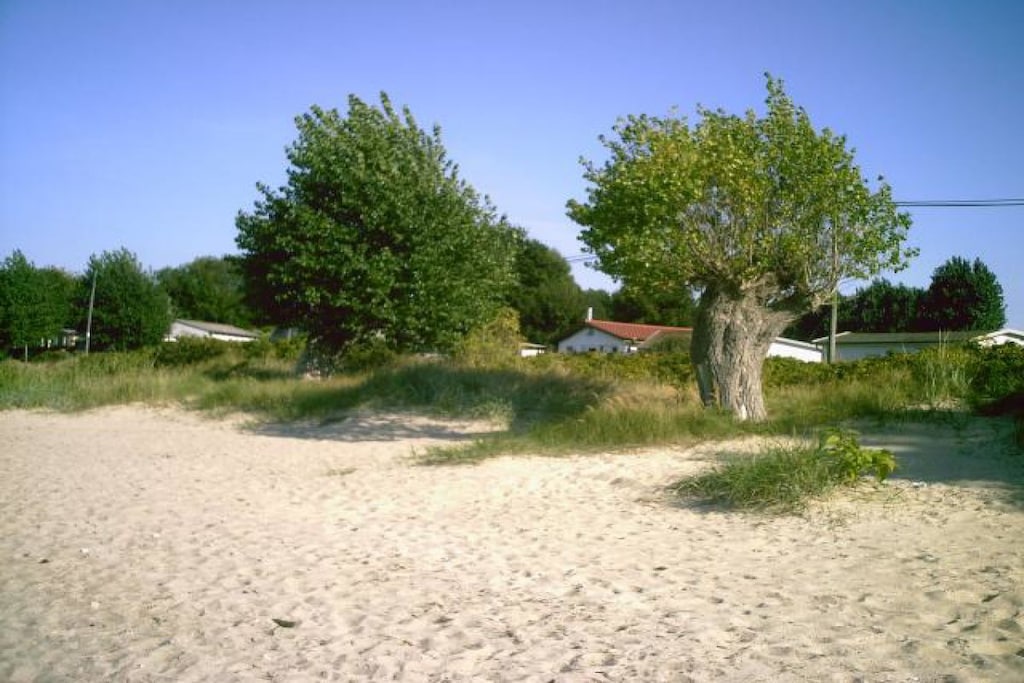35247 - Niet-getagd
