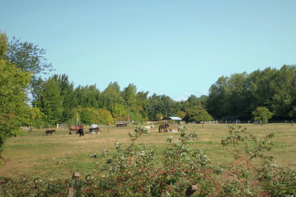 252674 - Niet-getagd
