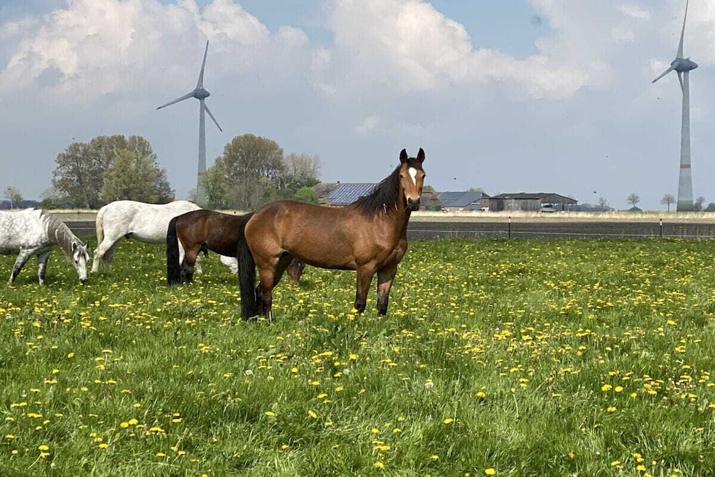 429207 - Niet-getagd