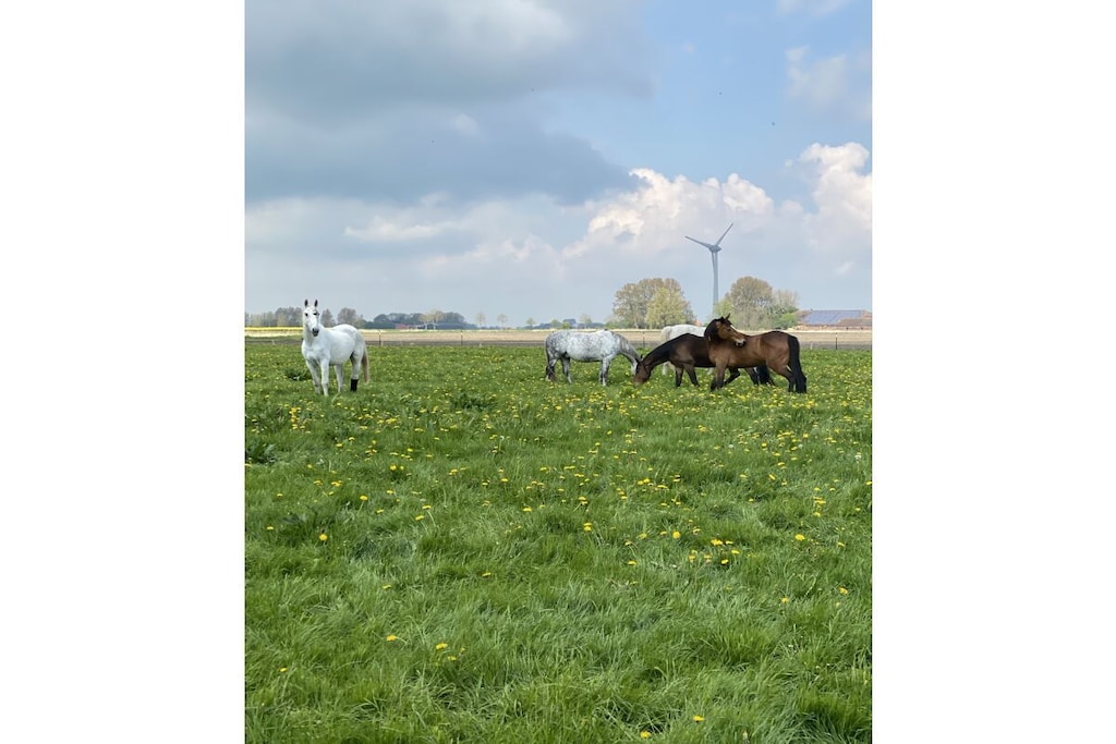 429207 - Niet-getagd