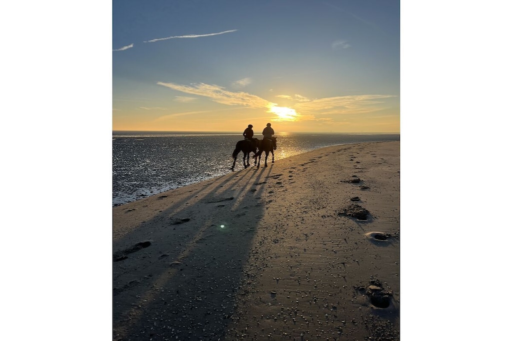429207 - Niet-getagd