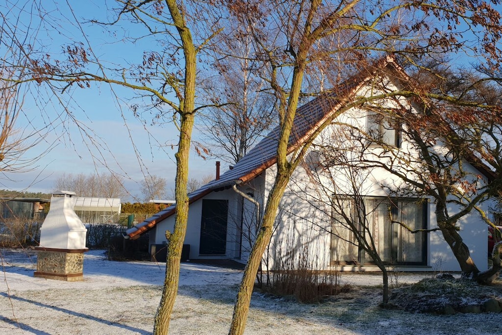 293745