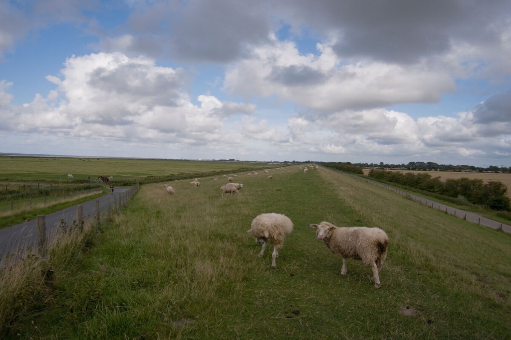 470317 - Niet-getagd