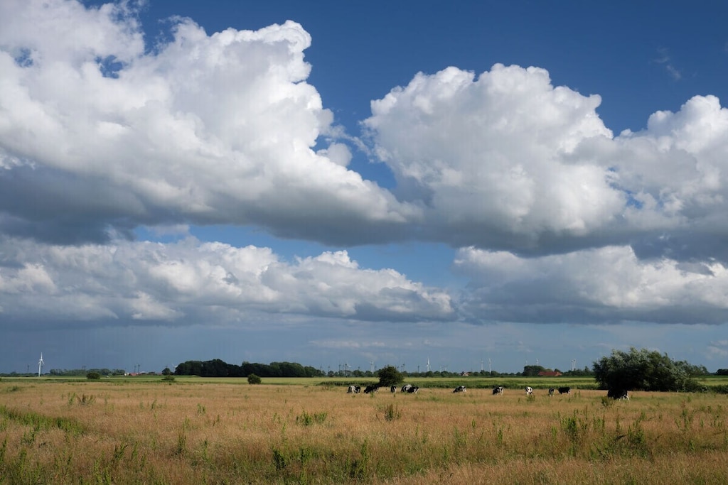 470317 - Niet-getagd