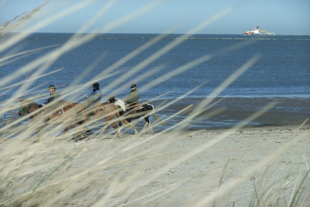 69362 - Niet-getagd