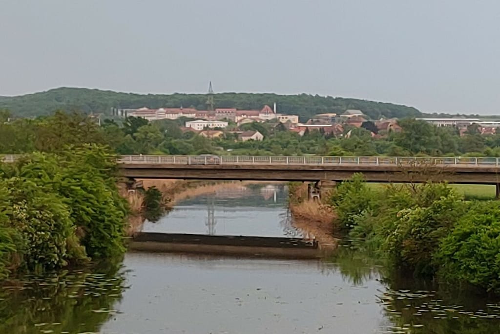 429509 - Non tagué