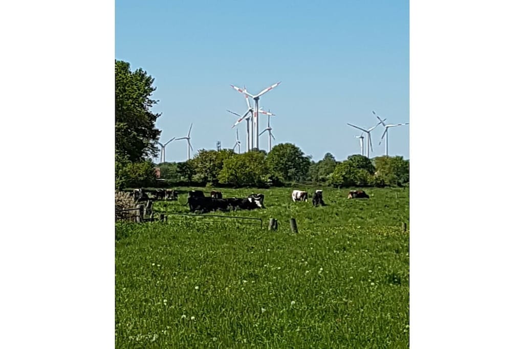 113271 - Nicht zugeordnet