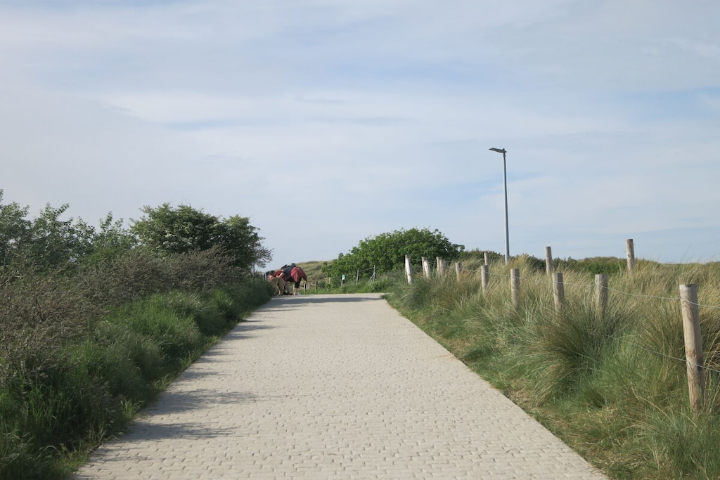 48630 - Niet-getagd