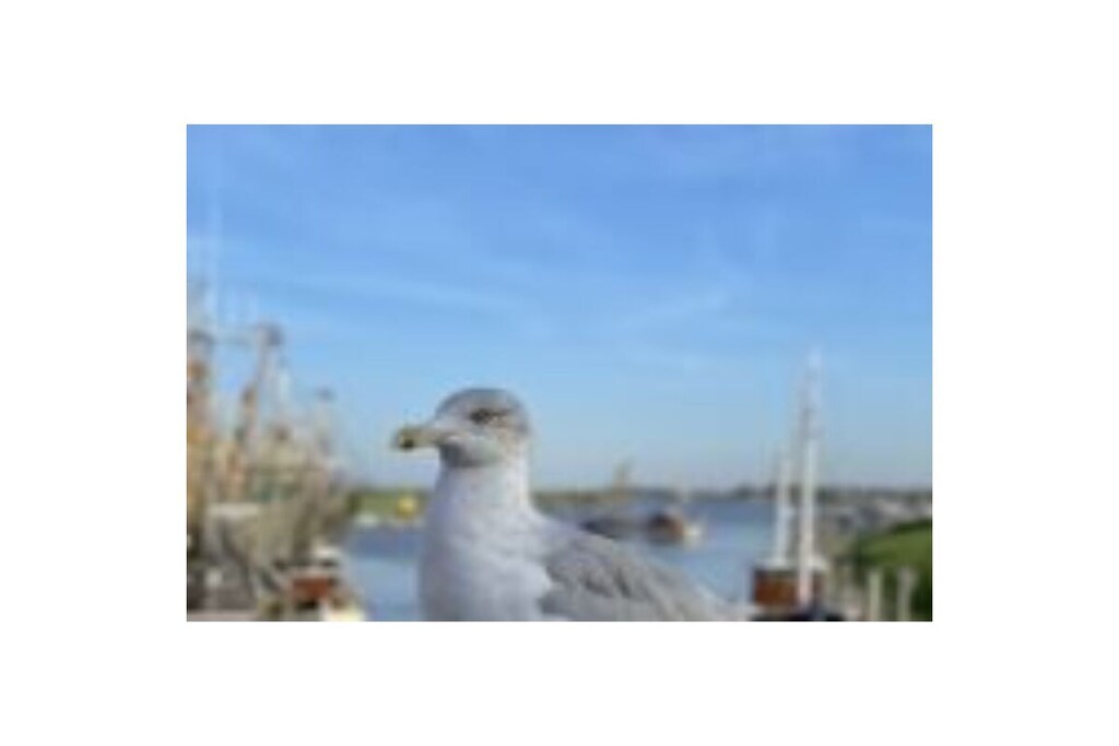 773477 - Niet-getagd