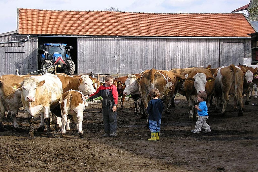 95416 - Niet-getagd