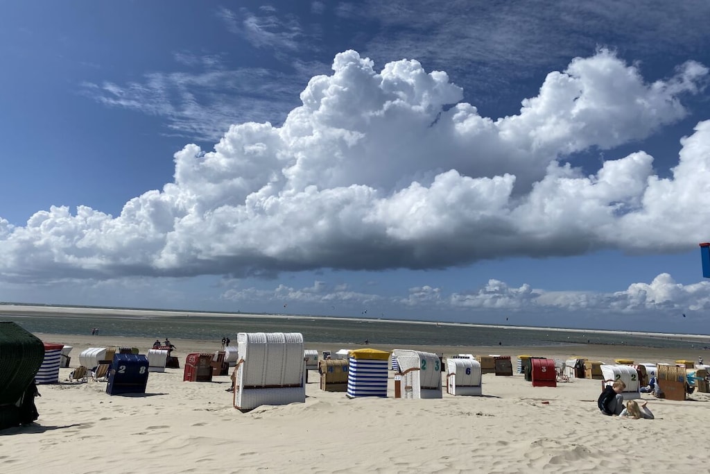 56390 - Niet-getagd