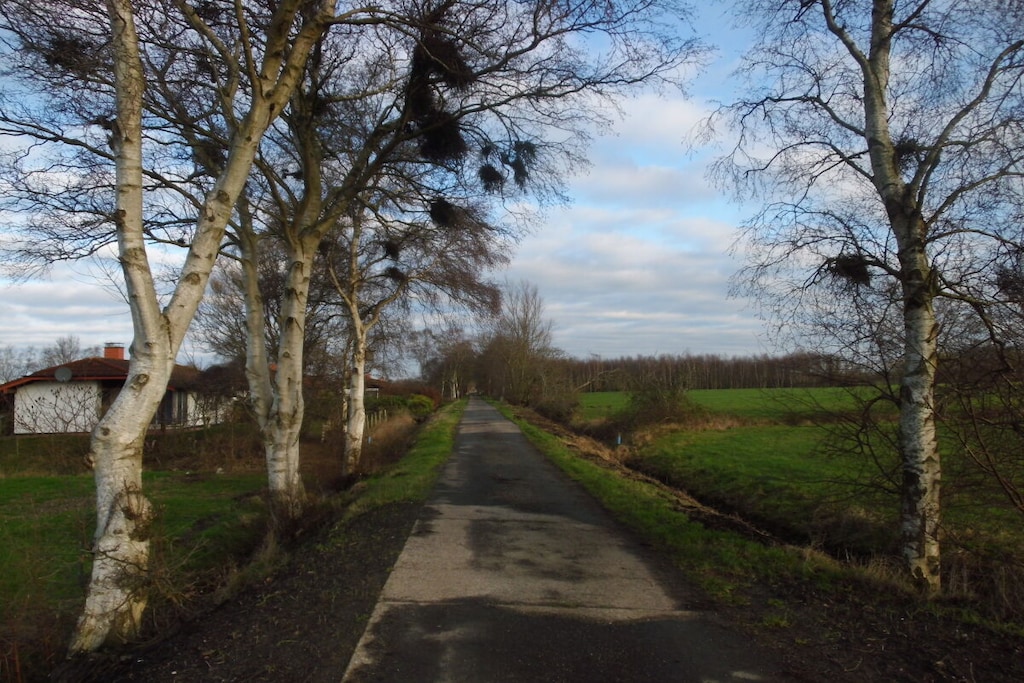 316205 - Niet-getagd
