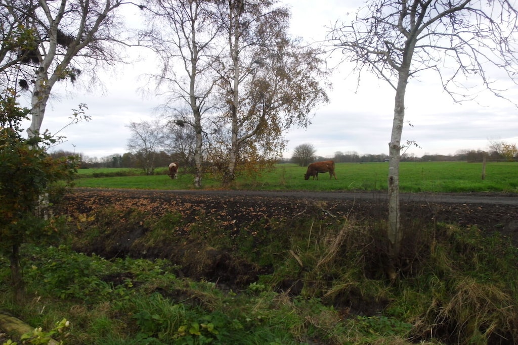 316205 - Niet-getagd