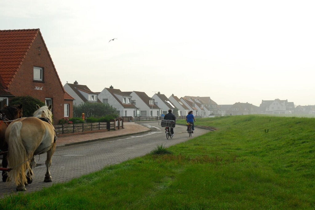 73502 - Niet-getagd