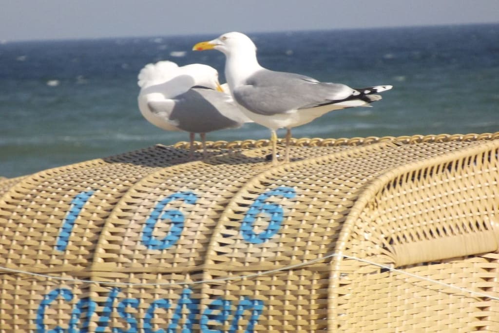183092 - Niet-getagd