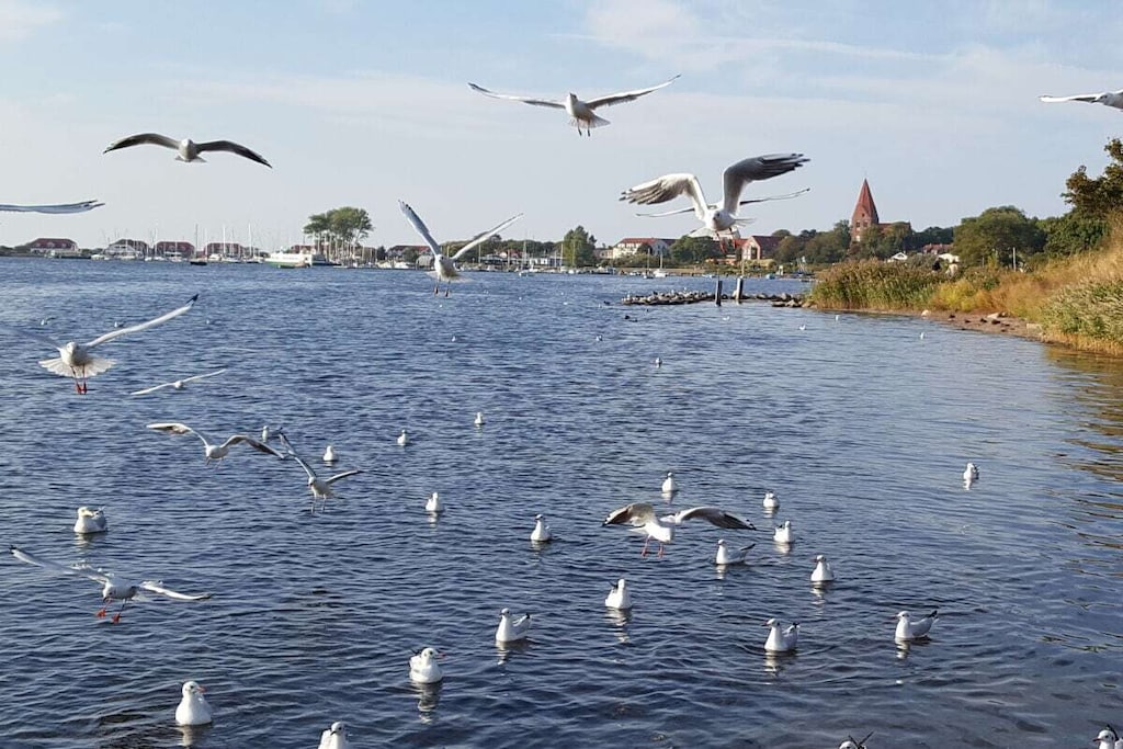 54086 - Niet-getagd