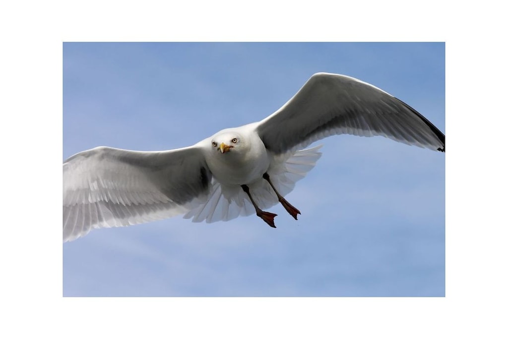 126939 - Niet-getagd