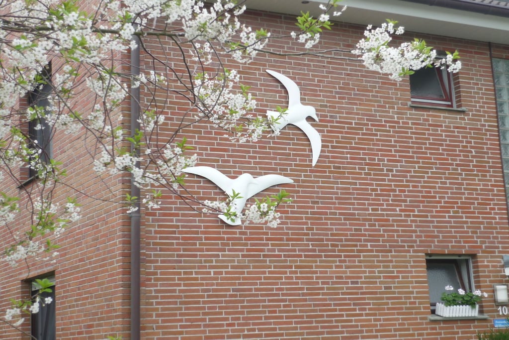 230760 - Niet-getagd