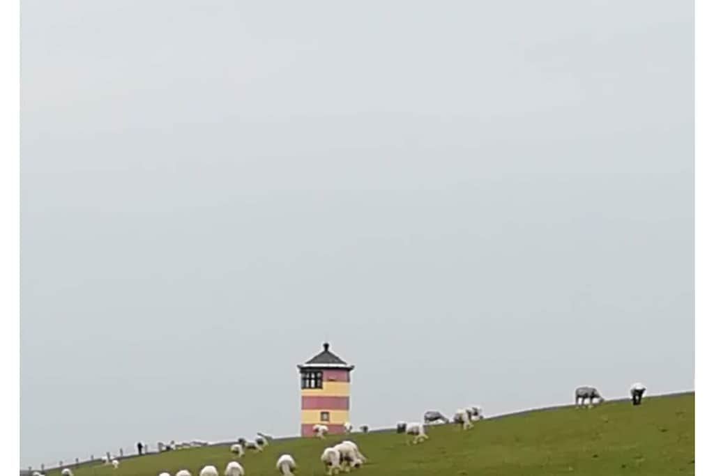 771413 - Niet-getagd