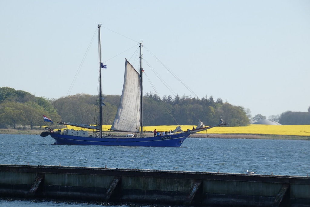 770786 - Niet-getagd