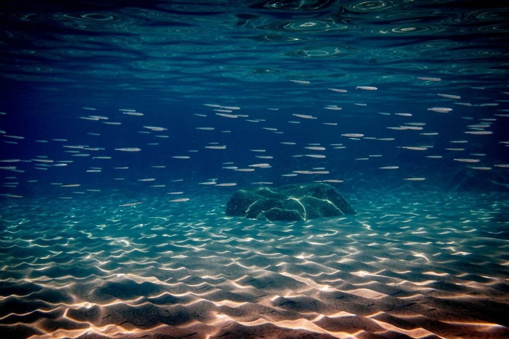 315098 - Niet-getagd