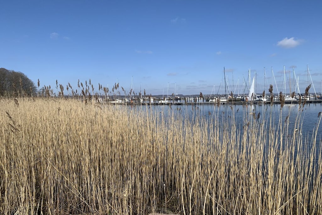 802152 - Niet-getagd